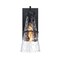 Designers Fountain Field Daisy Lane Black Outdoor Hardwired Wall Sconce D327M-14EW-BK - alternate 1